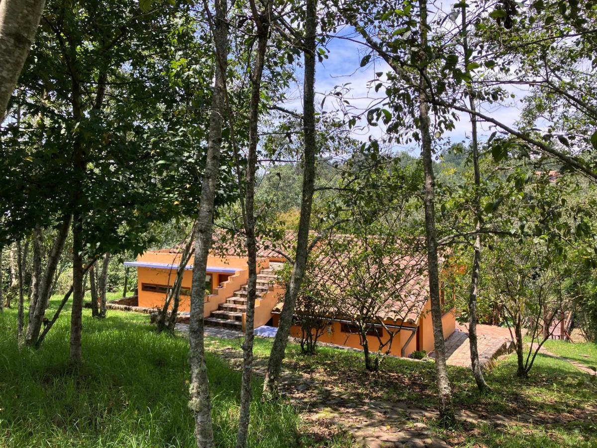 فندق Passadhi Ayurveda & Yoga Retreat فيلا دي ليفا المظهر الخارجي الصورة
