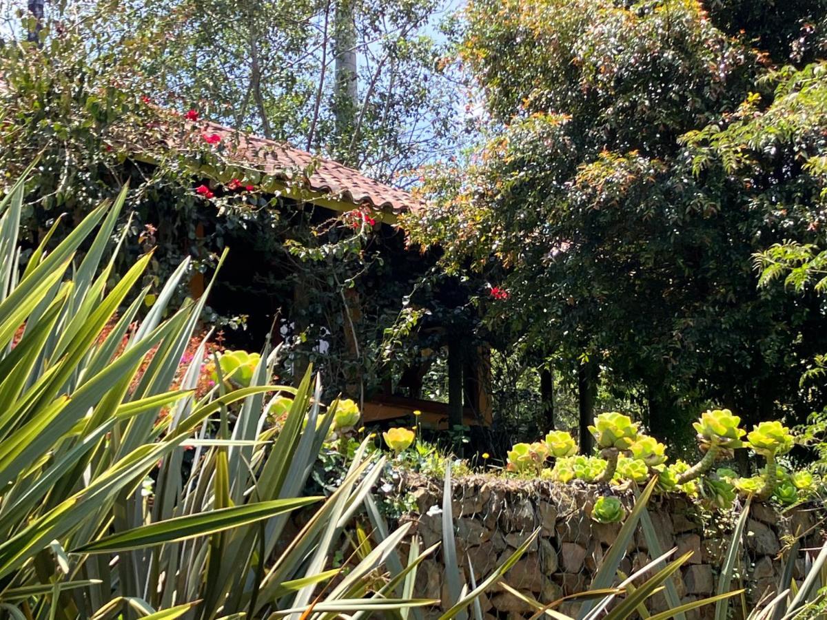 فندق Passadhi Ayurveda & Yoga Retreat فيلا دي ليفا المظهر الخارجي الصورة